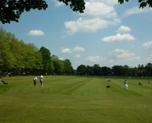 a picture of the common with lots of people walking dogs, sitting, walking around the common