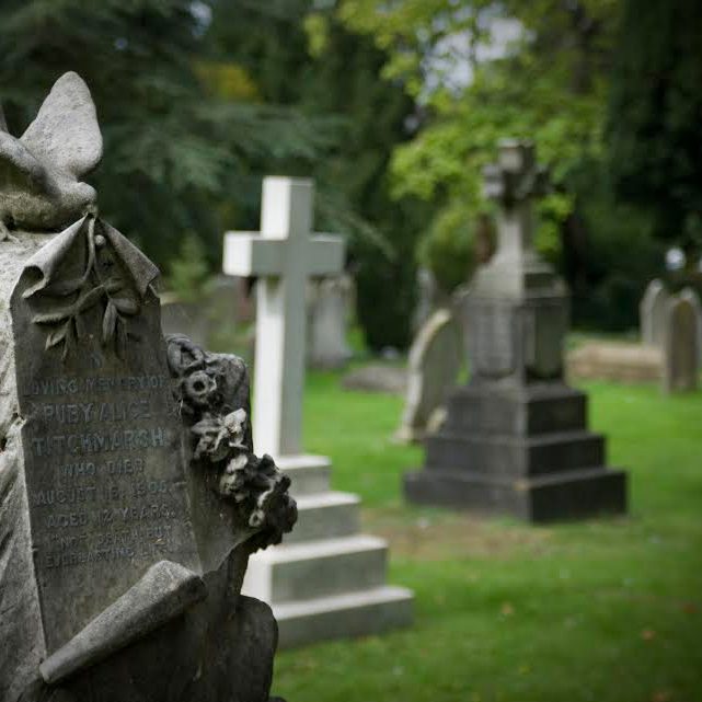 Services Saffron Walden Town Council