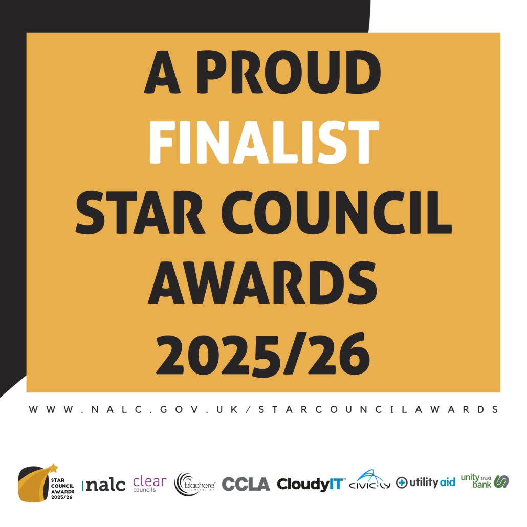 Logo for Star Council Finalists